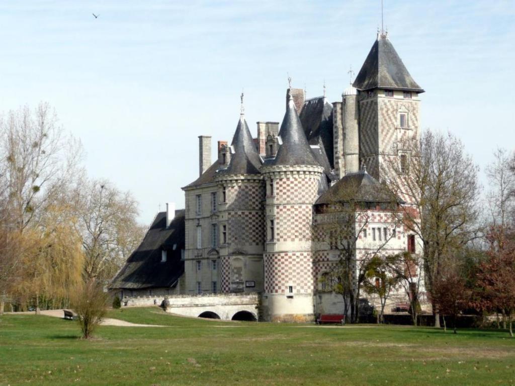 Chateau Des Reaux Chouzé-sur-Loire 외부 사진
